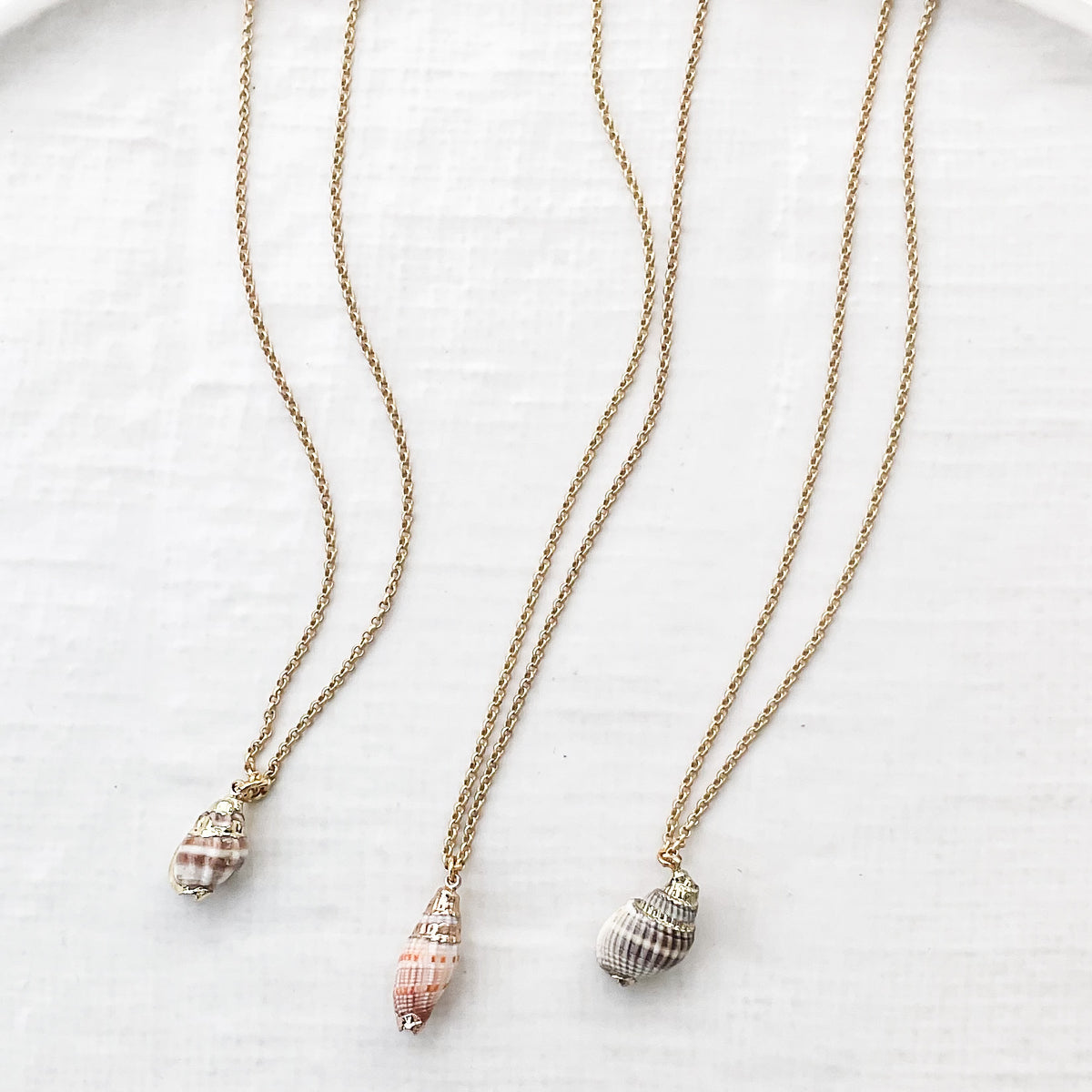 Conch Shell Chain Conch Shell on 16” Small Chain – Virtue Jewelry Design