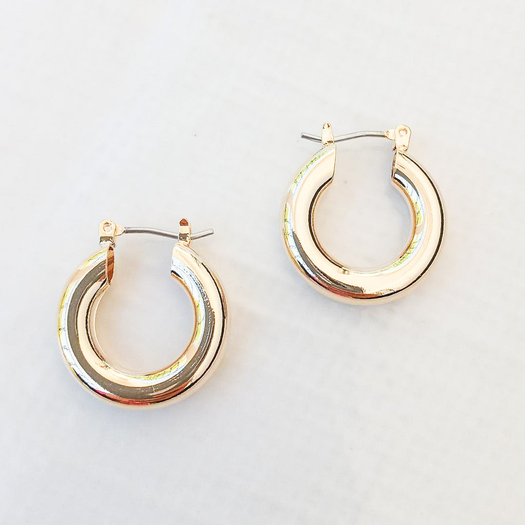 Thick 20MM Hoops Hinge