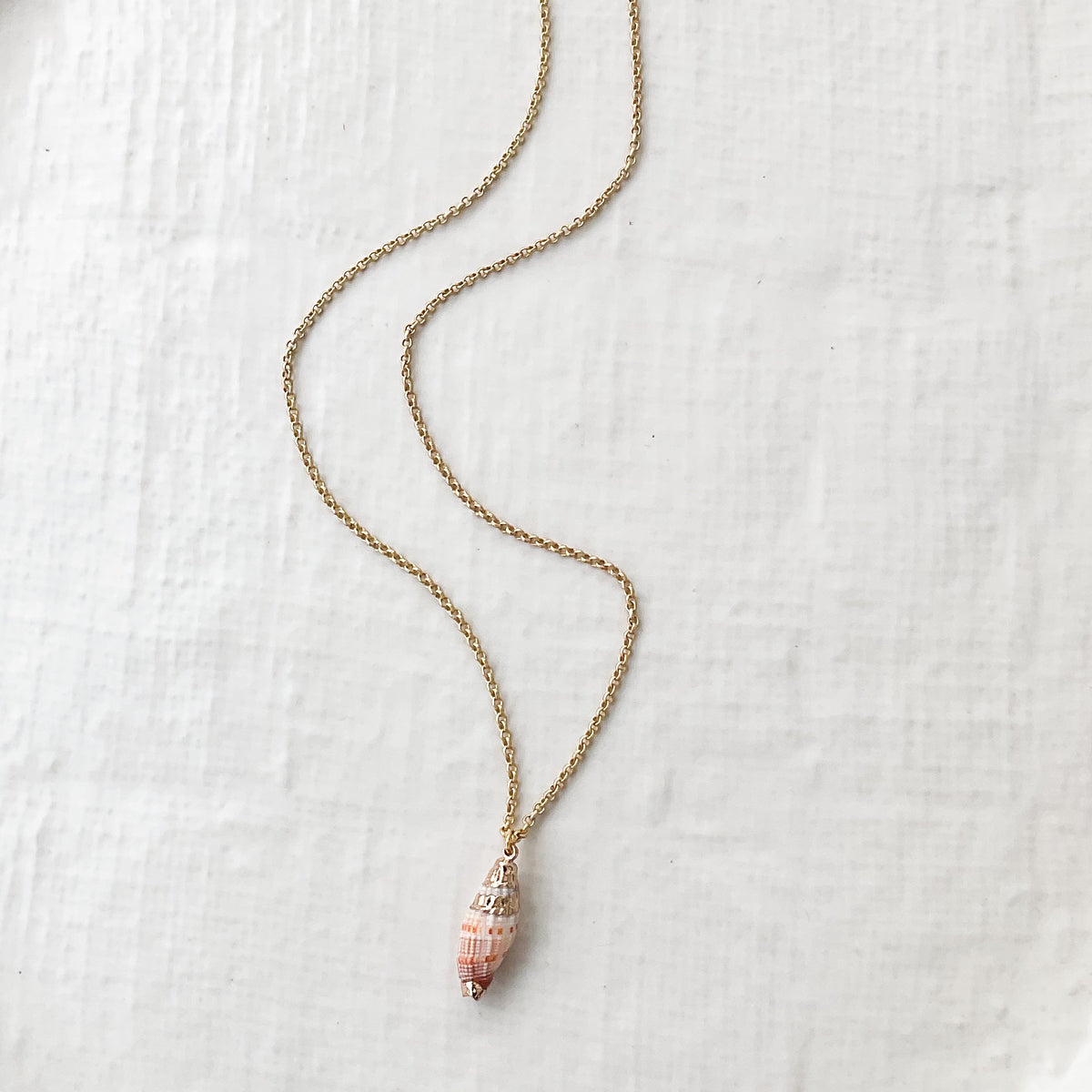 Conch Shell Chain Conch Shell on 16” Small Chain – Virtue Jewelry Design