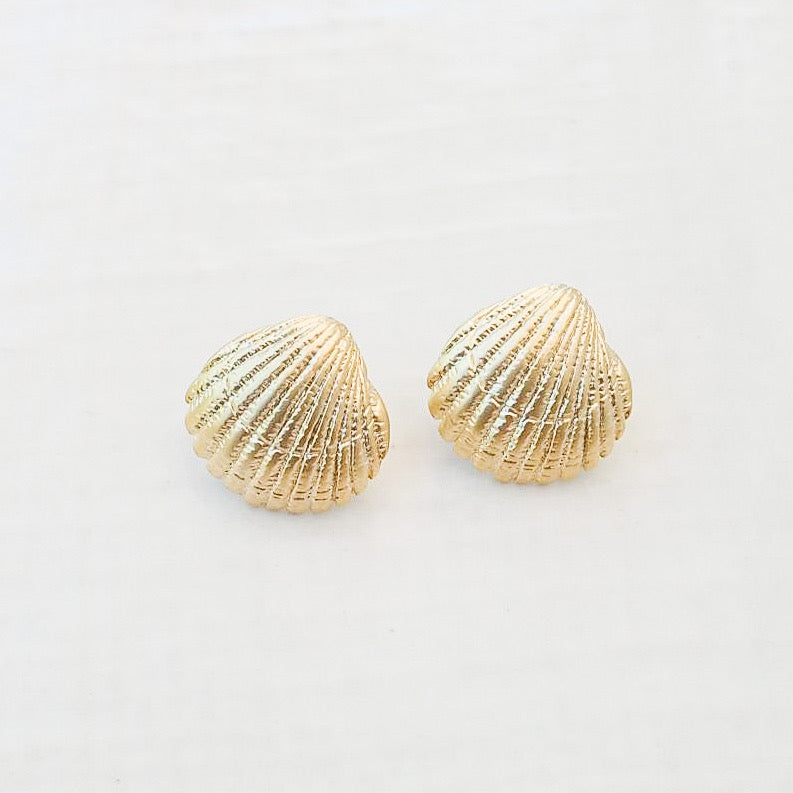 Small Clam Shell Stud