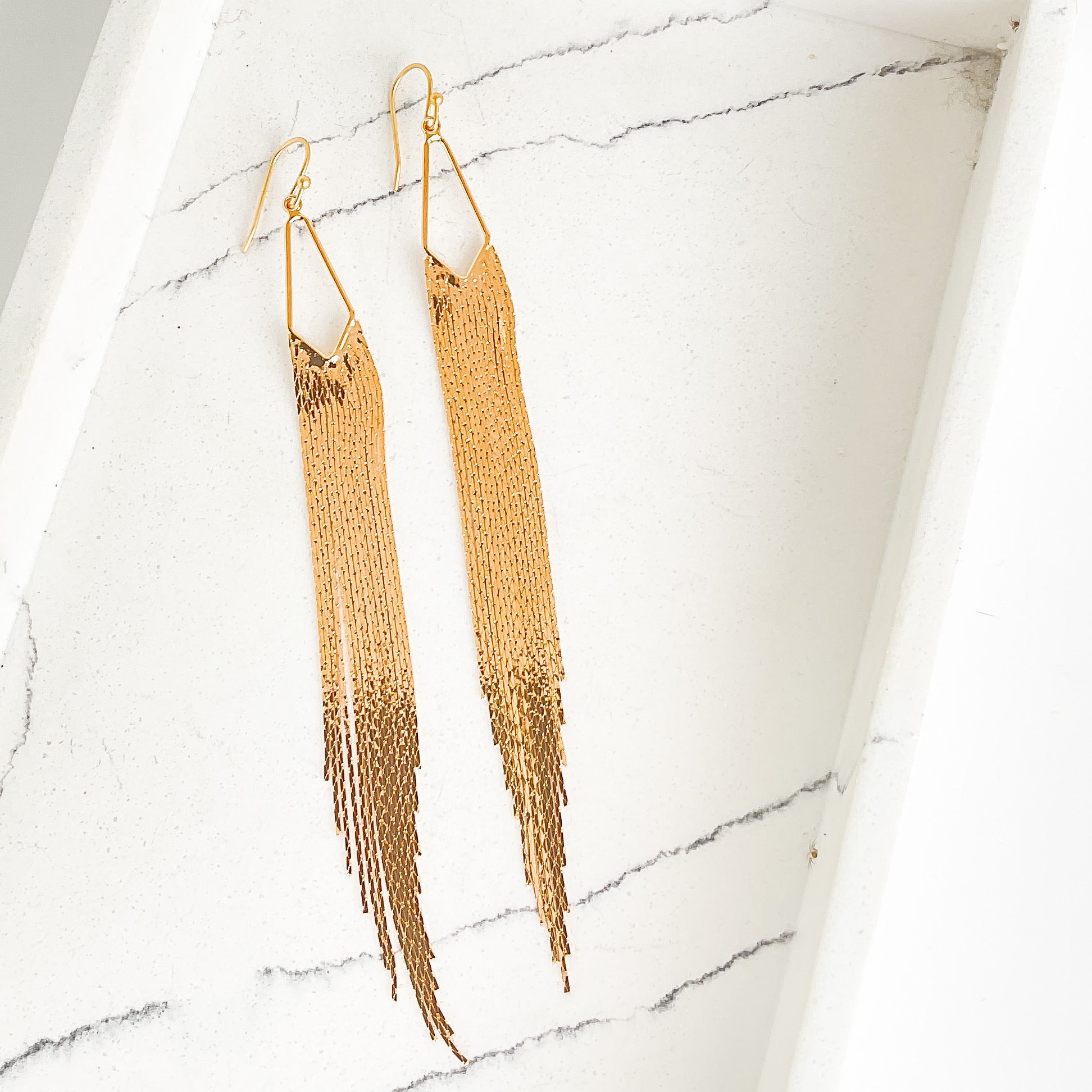 Medal Fringe Earrings on Hook